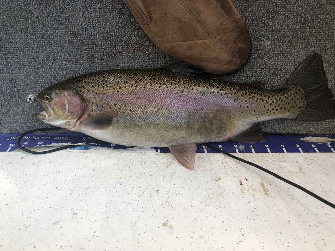 1A8ACEB6-F3E2-42FA-BC31-87414831717E