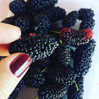 14515642_1778471089077861_3525304122855129088_n