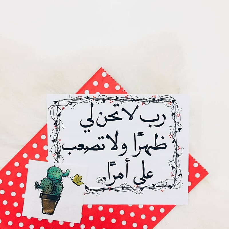 ���� ���� ������ �� ���� ������