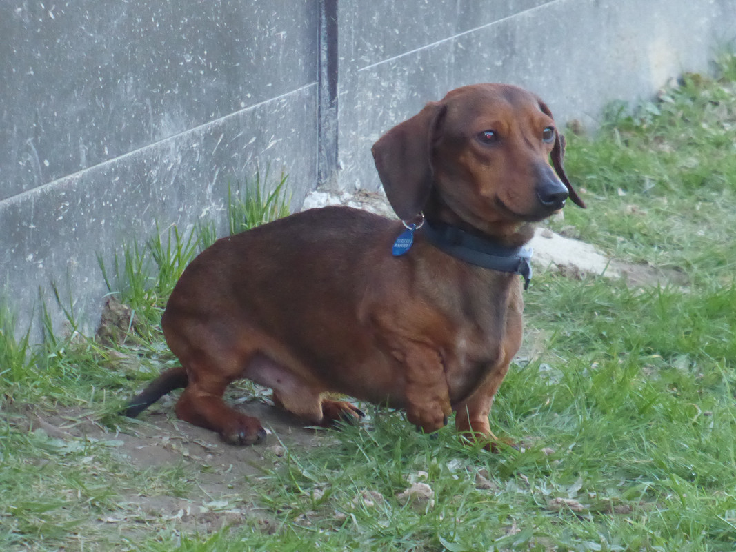 [Image: P1010975.jpg]