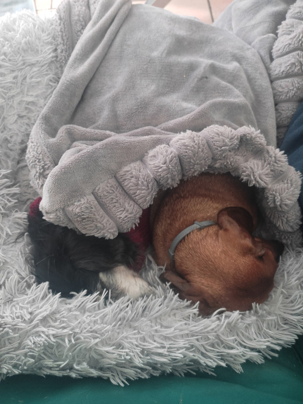 [Image: IMG-20250422-095150.jpg]