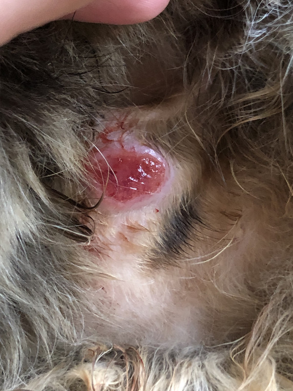 2ADA6221-9004-4F3E-9EEA-FFDFC432007A