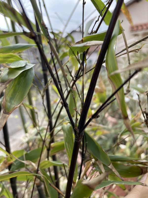 36CFE42C-28E9-476F-8FA3-C1E0CA884AEF