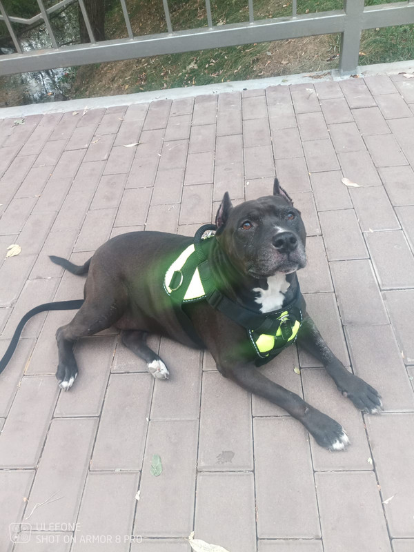 EBD7F3F0-5273-4945-9354-AD8883DF3281