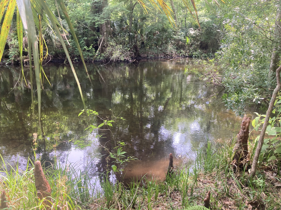 F26F4DAE-B3BC-4BC8-B940-DFB8DF1AC6FC