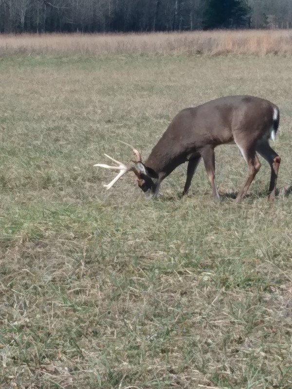 IMG_20211222_123803026