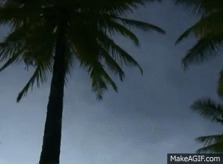 oa-Pn-Wq-1.gif