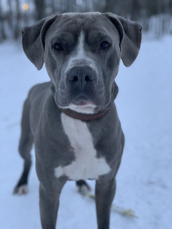 EA83AA33-8BDB-4761-B179-8F04D82303FF