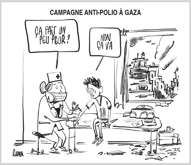 text alternatif