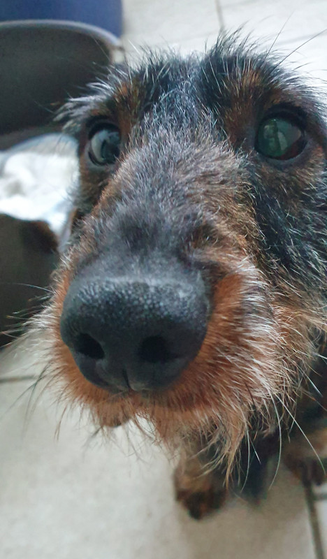 [Image: 20221125-162725.jpg]