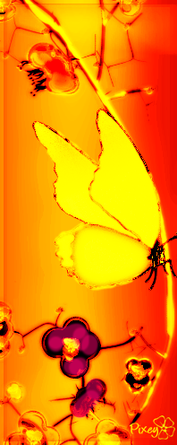 Butterfly-burn.png