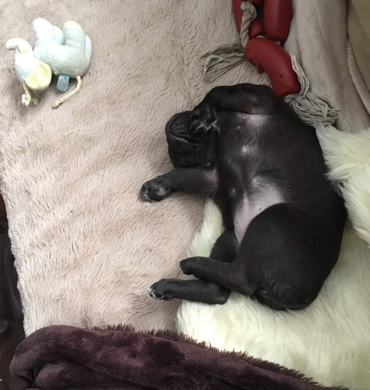 00347633-CE15-48ED-AD22-D800CE9852B0