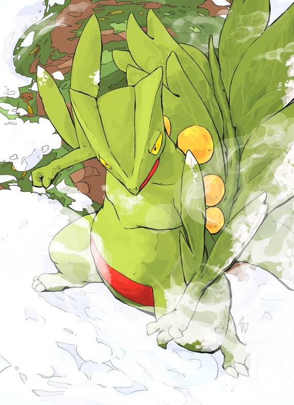 sceptile-pokemon-drawn-by-aomon-yuuji760