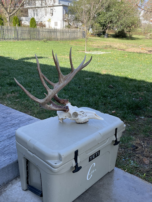 0BFA4DBD-1E1D-4DE8-9AEB-212A5A269450