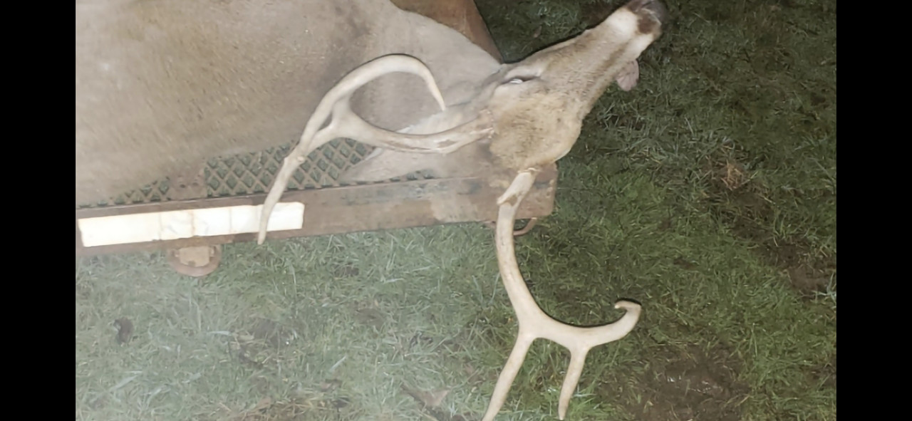 Screenshot 20260120 065558 Gallery