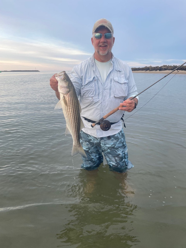 Hampton_Striper1