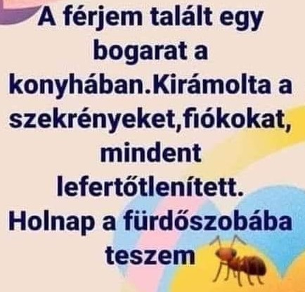 https://i.postimg.cc/PJvLQCJB/a-ferjem-talalt-egy.jpg