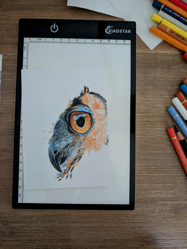 PXL 20251026 142453278 2