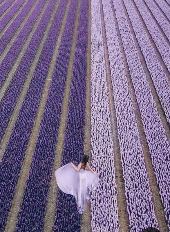 Screenshot_20240424_220907_Pinterest