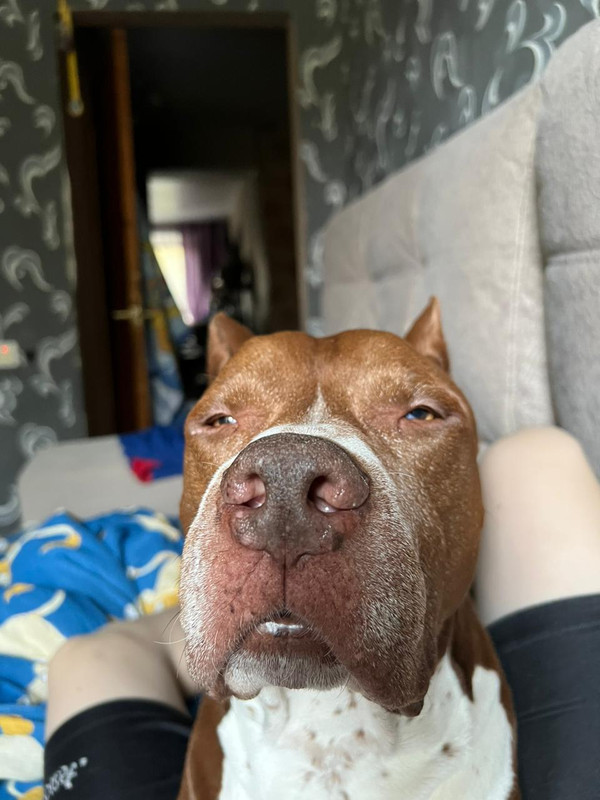 DFE67A43-4A4D-497B-8582-EA38EC2AF1F3