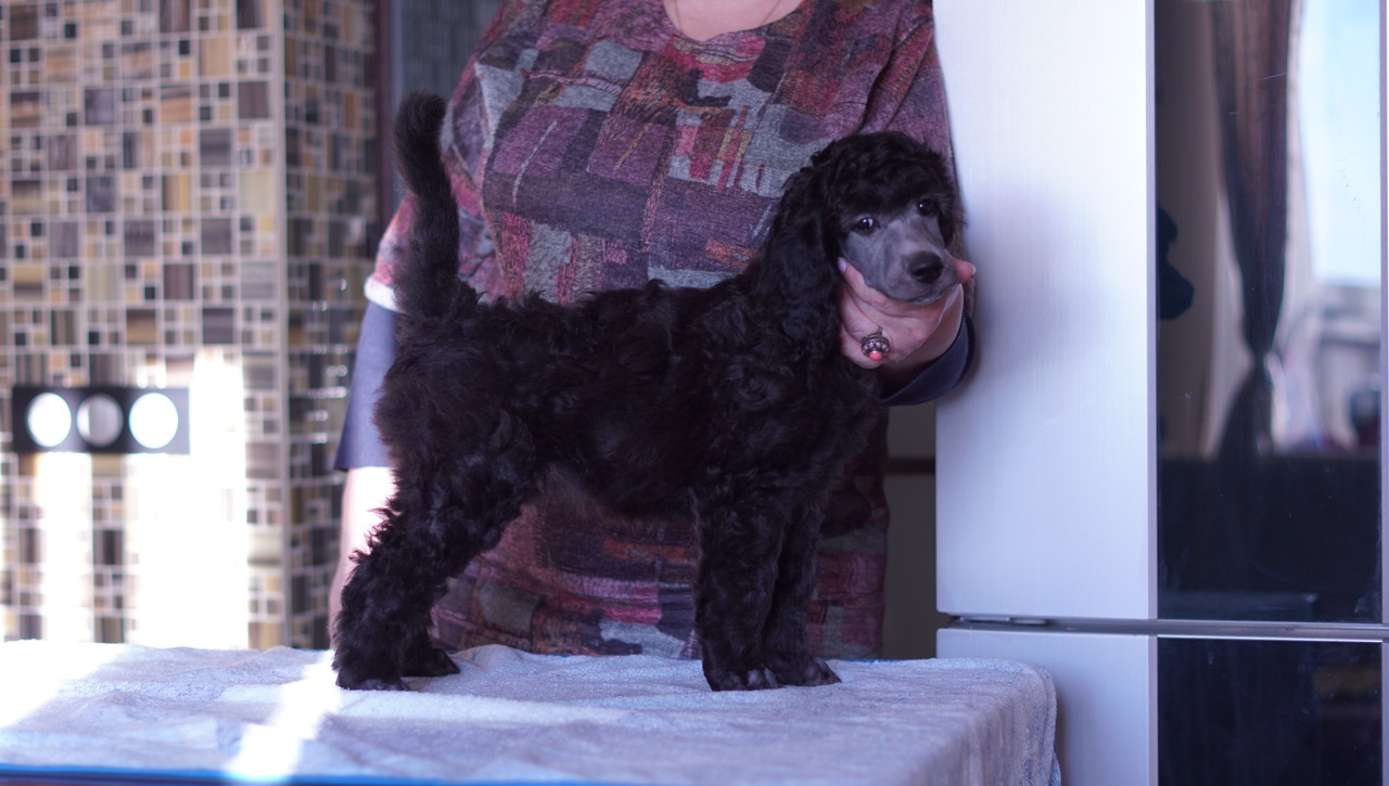 6A96314C-C38A-40E0-AAF3-9D757B231663