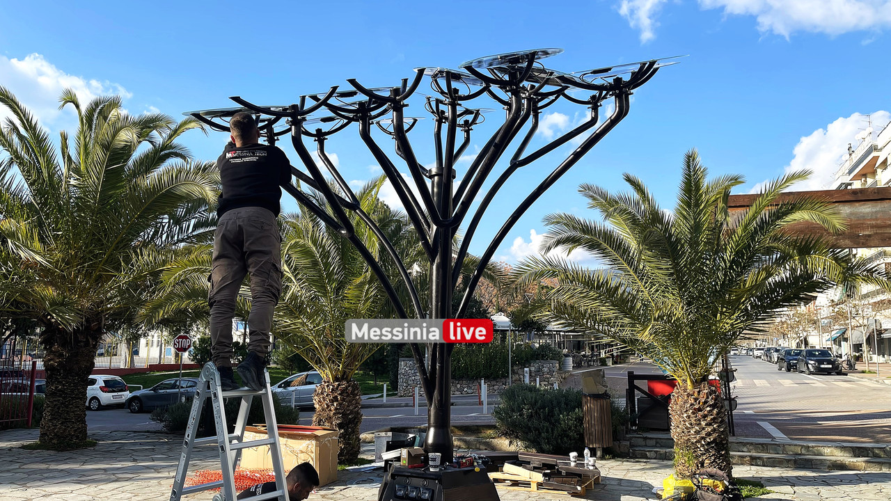 ΕΞΥΠΝΟ ΔΕΝΤΡΟIMG_0044