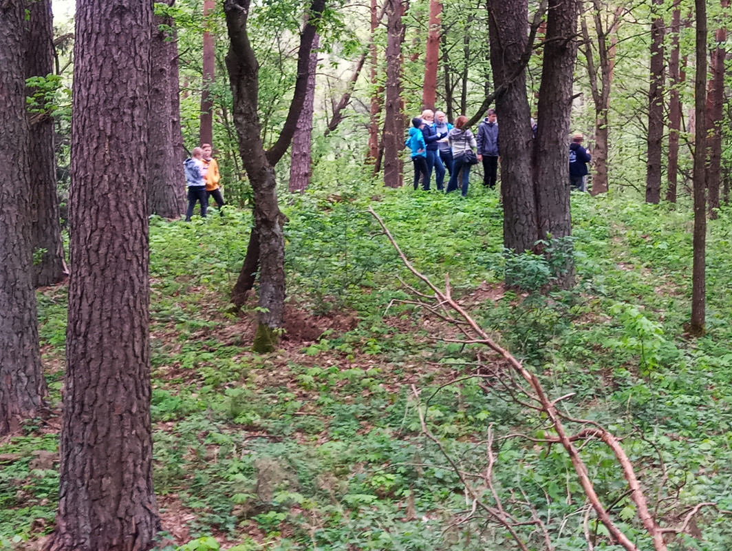 13.01 - 20190504_174629 (TomaszK)