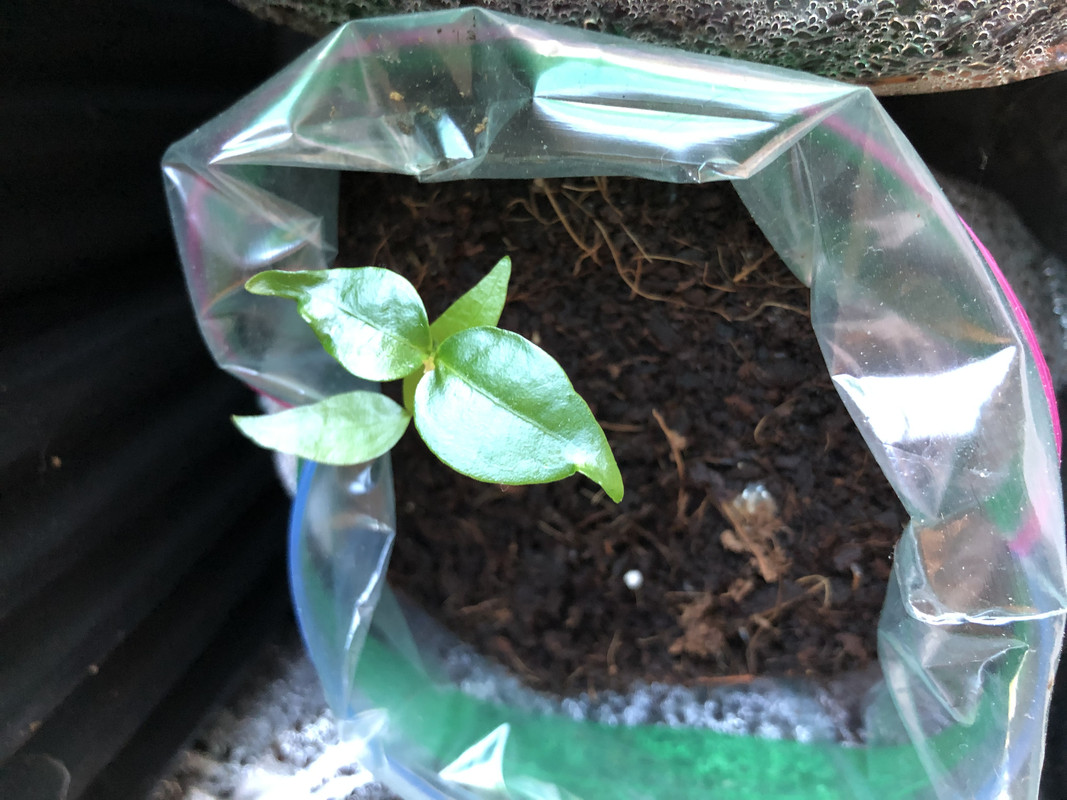 F0D27F79-68F4-4520-8072-BB539859C4CA