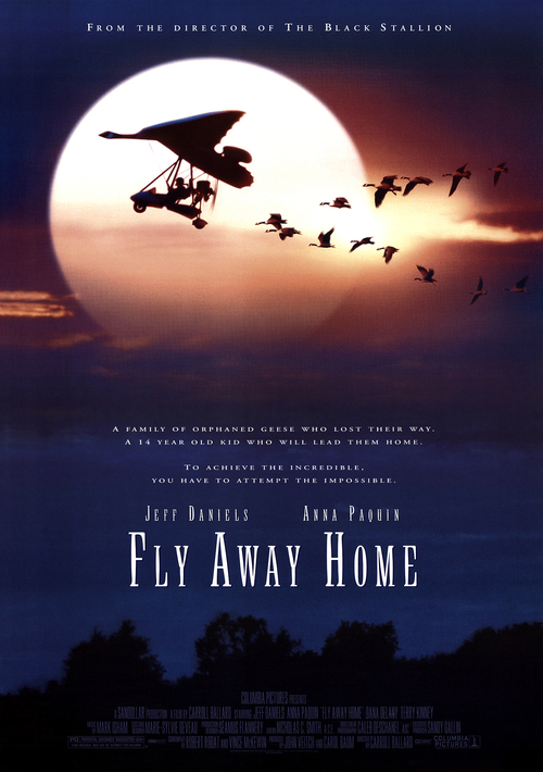 Droga do domu / Fly Away Home (1996) PL.1080p.BDRip.DD.5.1.x264-OK | Lektor PL