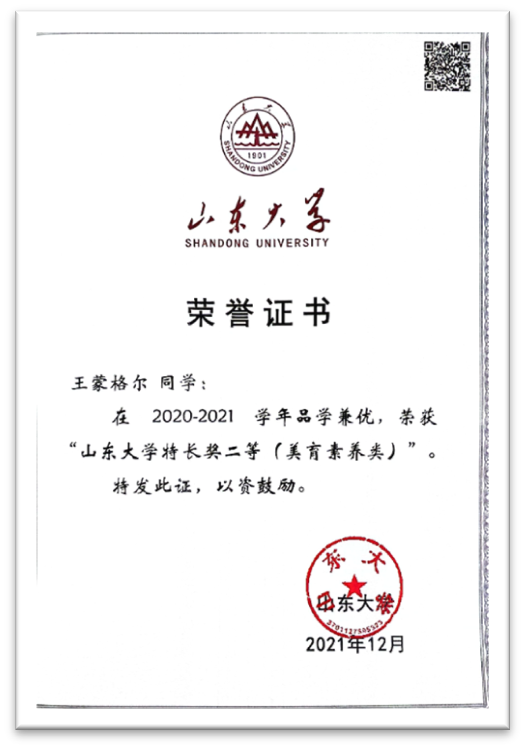 美育素养类特长奖