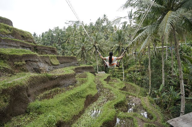 Indonesia y Kuala Lumpur en 18 días: El viaje de mi vida - Blogs de Indonesia - Día 9 - Bali: Tegalallang, G. Kawi, Tirta Empul, Batur y Besakih (2)