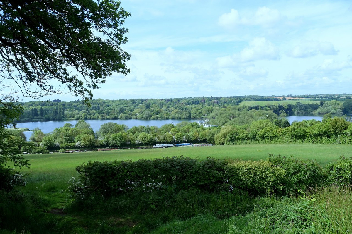 DSC00006.jpg