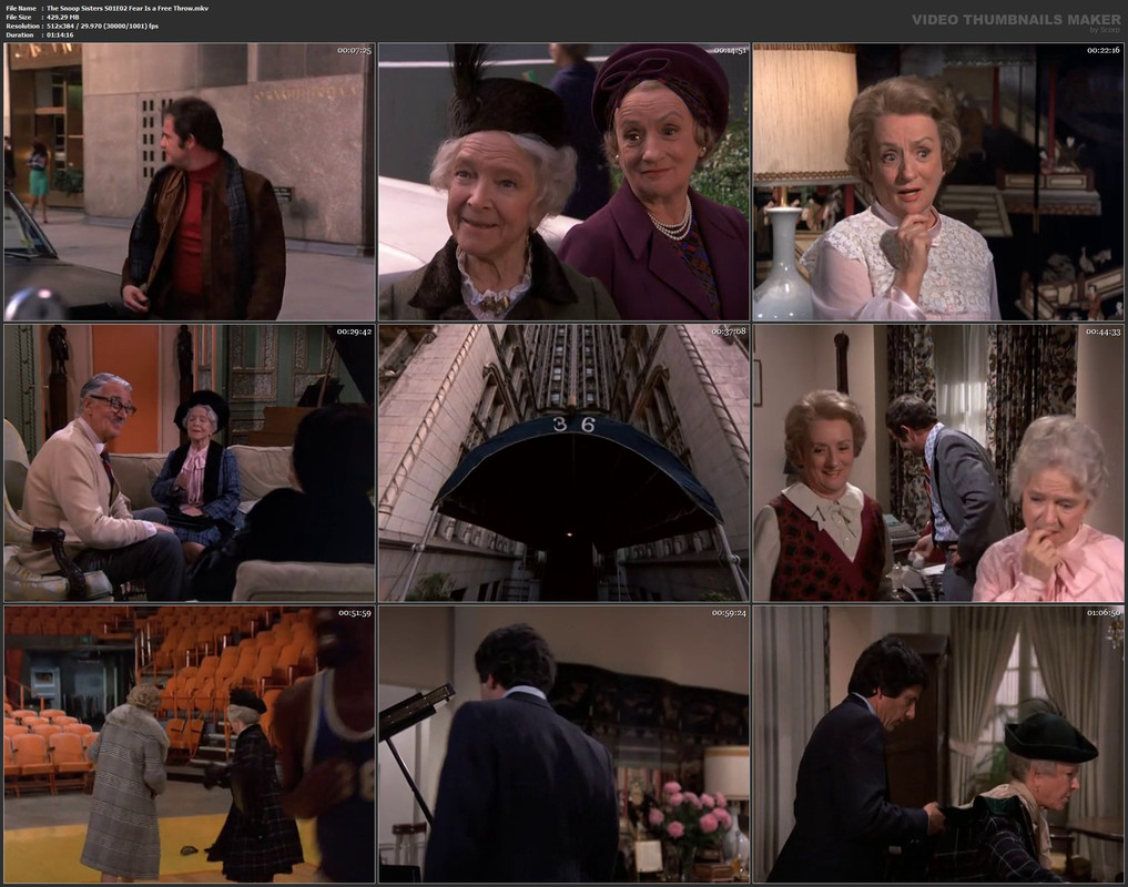 The Snoop Sisters S01E02 Fear Is a Free Throw.mkv