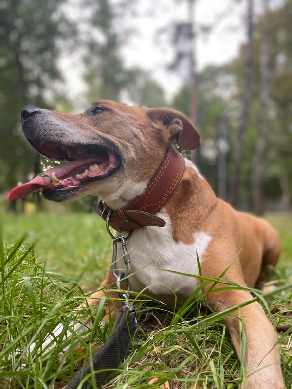 A1F93559-212E-47EB-AA42-A8F7F38B69CE