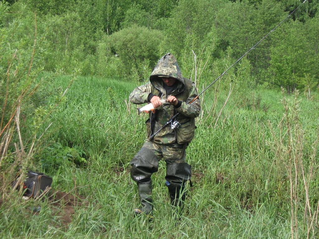 чусовая голавль