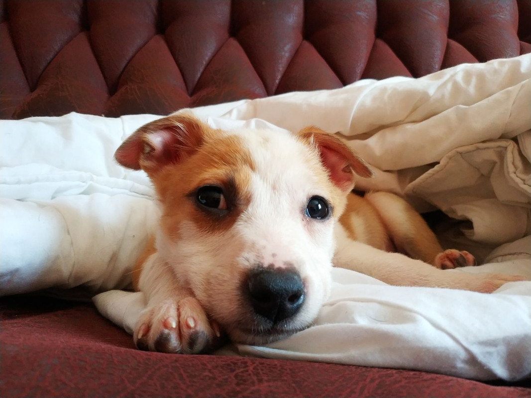 50B1489C-3CED-4F4D-9893-6ED72AF3E4BB