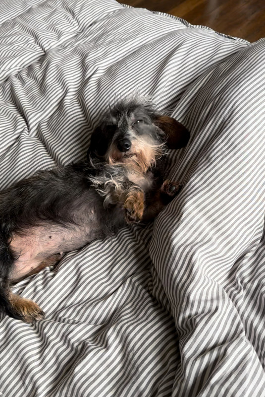 [Image: IMG-2304.jpg]