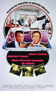 Una strana coppia di sbirri (1974).mkv BDRip 1080p x264 AC3 iTA-ENG DTS ENG