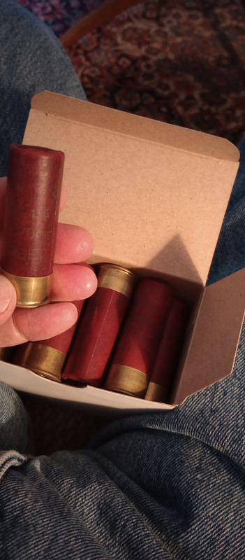 IMG_20231203_160954182