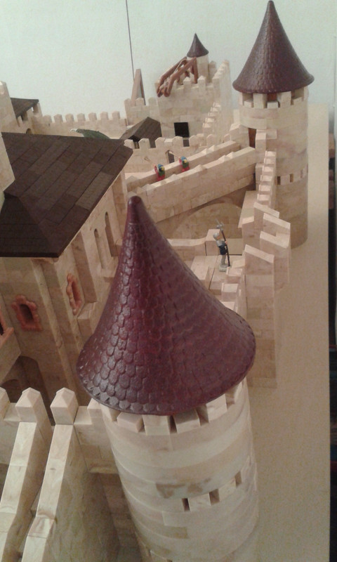 Detalles amplios (12)