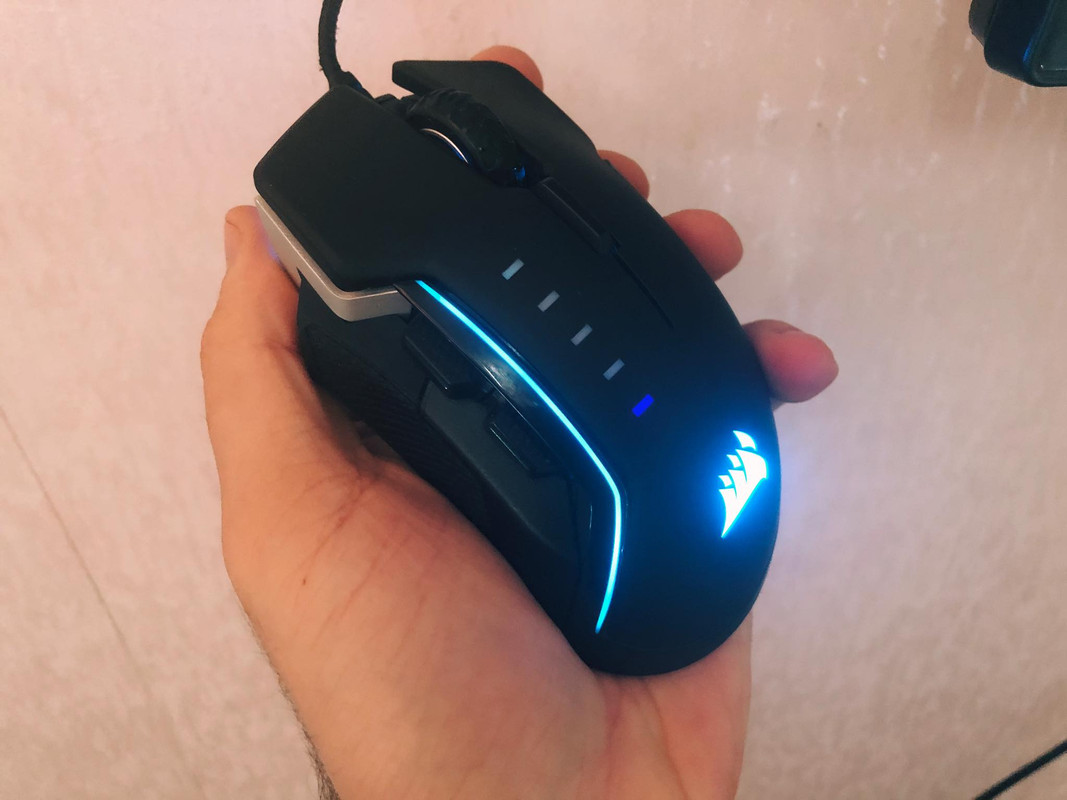 83163934-524362431515118-350362887031619