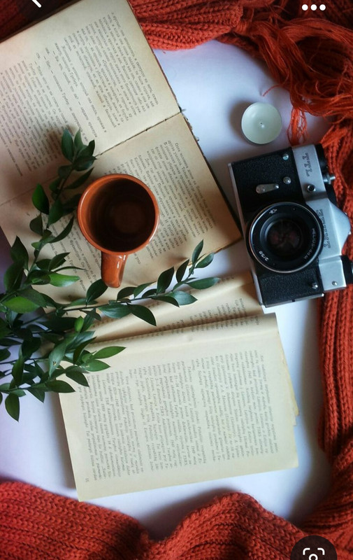 Screenshot_20230924_000737_Pinterest