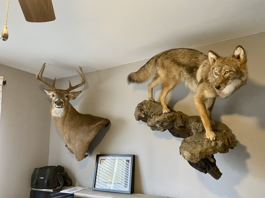 BFF43865-07EA-4C36-B65D-EE9B6FD215E4