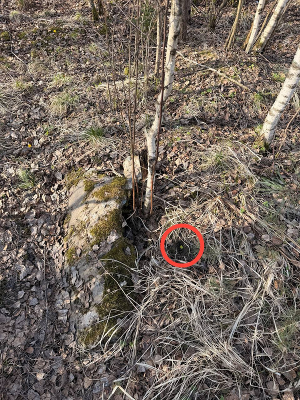 IMG 20260413 123817 112