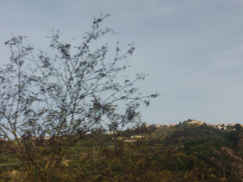 Slika