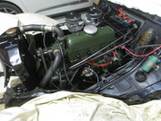 IMG-5096.jpg