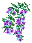 GlamourGirl_MM_Element (115)