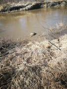 IMG-20200503-173825