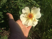 CE04358C-973B-430E-B1E7-3212C7BD1295