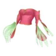 https://i.postimg.cc/PL8c5sKP/IMG-7244.webp